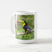 Mug classique du Toucan, 15 oz (Devant gauche)