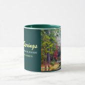 Mug Clear Springs - réserve forestière de Homochitto (Centre)