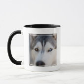 Mug Closeup Stoic Gazaouit (Gauche)