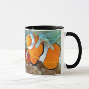 Mug Clownfish