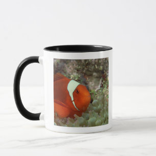 Mug Clownfish 2