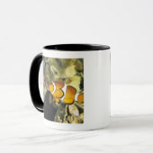 Mug Clownfish communs (ocellaris d'Amphiprion), (Devant gauche)