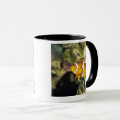 Mug Clownfish communs (ocellaris d'Amphiprion), (Devant droit)