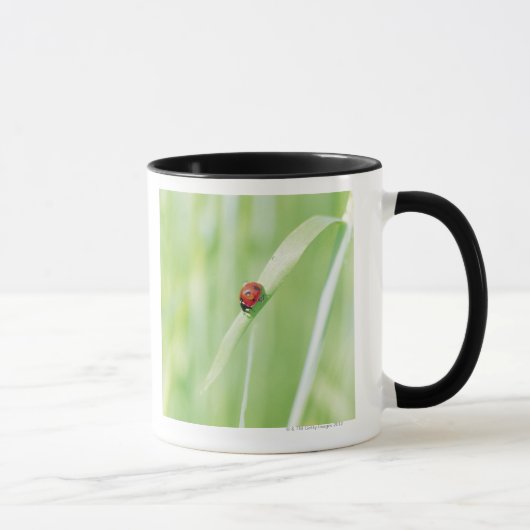 Mug Coccinelle (Droite)