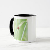 Mug Coccinelle (Devant gauche)