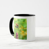 Mug coccinelle (Devant gauche)