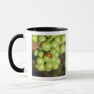 Mug Coccinelle en gros plan sur des raisins verts Pino