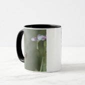 Mug Coccinelle sur la tige (Devant gauche)