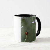 Mug Coccinelle sur la tige (Devant droit)