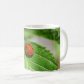 Mug Coccinelle sur une feuille (Devant droit)