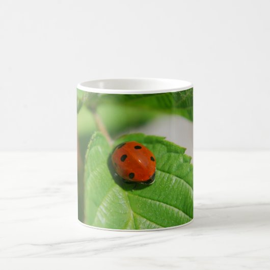 Mug Coccinelle sur une feuille (Centre)