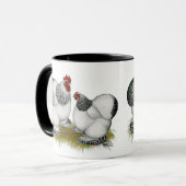Mug Cochins : Bantams colombiens (Devant gauche)