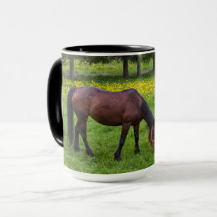 Mug Col de Tihuta, cheval dans un pâturage