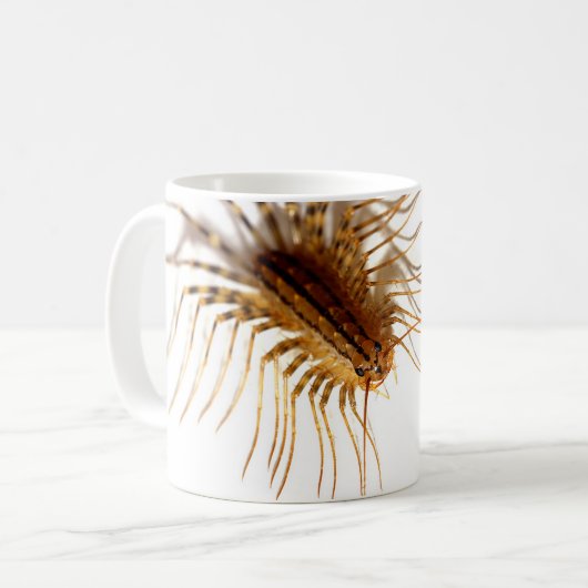 Mug Coleoptrata de Scutigera (Devant gauche)