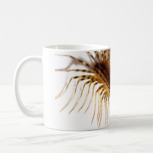 Mug Coleoptrata de Scutigera (Gauche)