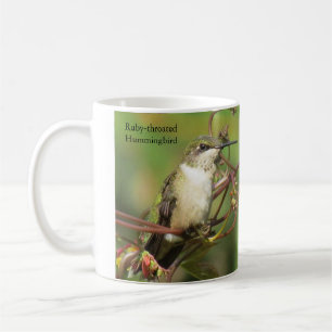 Mug Colibri à gorge rubis
