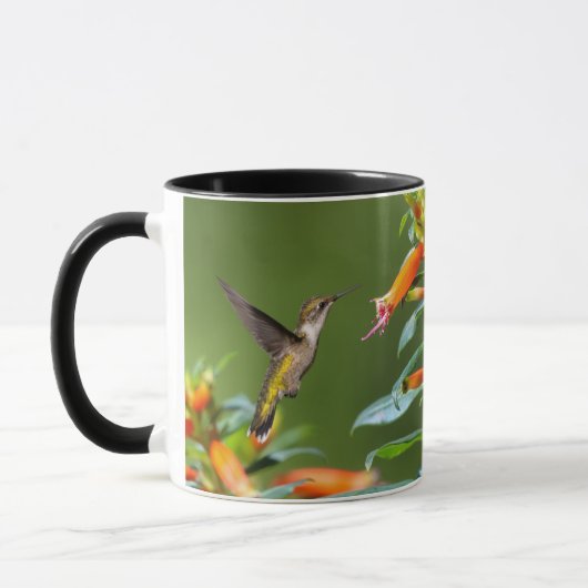 Mug Colibri à gorge rubis "à Cuphea" (Gauche)