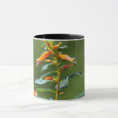Mug Colibri à gorge rubis "dans Cuphea" (Centre)