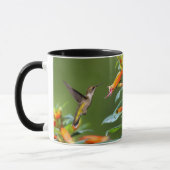 Mug Colibri à gorge rubis "dans Cuphea" (Gauche)