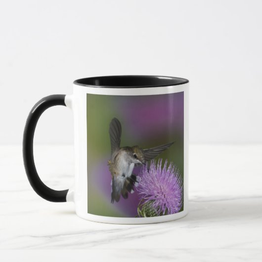 Mug Colibri à gorge rubis en vol au chardon (Gauche)
