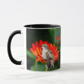 Mug Colibri à gorge rubis "Gerber Daisys" (Gauche)