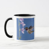 Mug Colibri à queue large, Selasphorus (Gauche)