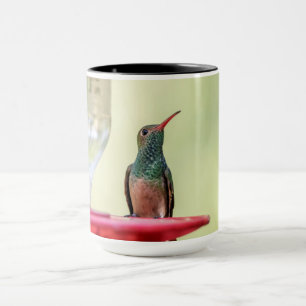 Mug Colibri à ventre cassé au Texas