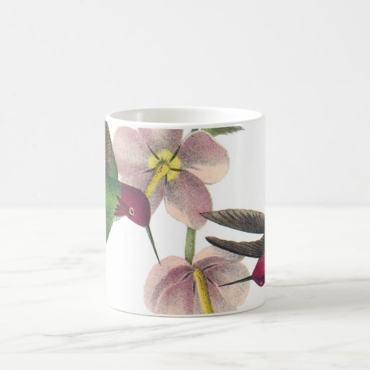 Mug Colibri d'Anna par Audubon (Centre)