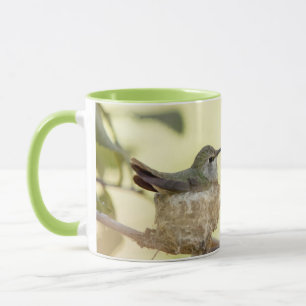 Mug Colibri femelle sur son nid