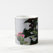 Mug Colibri, Musique (Centre)