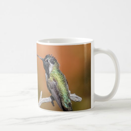 Mug : Colibri n°5 de Costa (classique) (Droite)