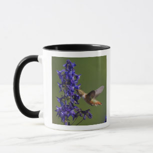 Mug Colibri roux