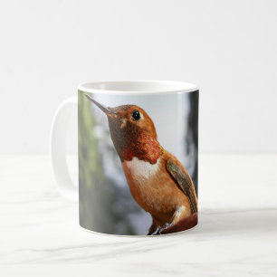 Mug Colibri roux mâle - Muqueuses