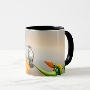 Mug Colibri sur un plante à fleurs