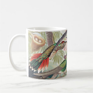Mug Colibri, Trochilidae Kolibris par Ernst Haeckel