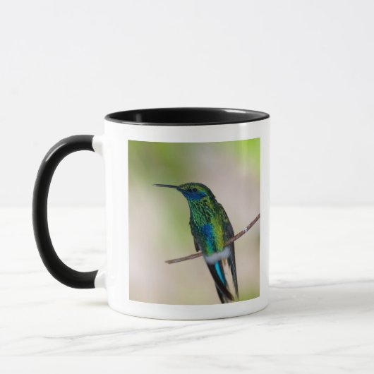 Mug Colibri vert de Violet-oreille (Gauche)