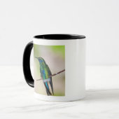 Mug Colibri vert de Violet-oreille (Devant gauche)