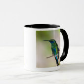 Mug Colibri vert de Violet-oreille (Devant droit)