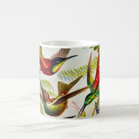 Mug Colibri Vintage par Ernst Haeckel (Centre)