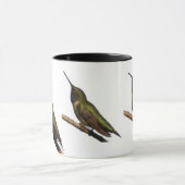 Mug Colibris (Centre)