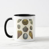 Mug Collection Conchology (Gauche)