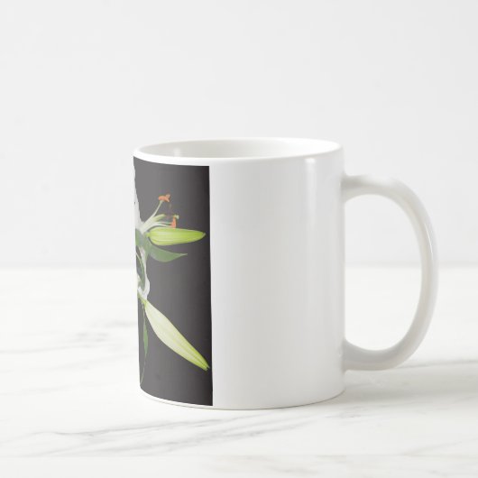 Mug Collection de lys artistiques-1 (Droite)
