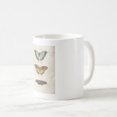 Mug Collection de papillons (Devant droit)