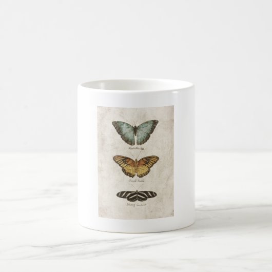 Mug Collection de papillons (Centre)