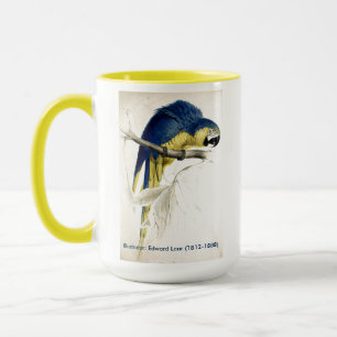 Mug Collection D'Oiseaux D'Edward Lear Macaw Bleu Et J