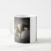 Mug Colley à poil long sur fauteuil (Devant gauche)