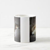 Mug Colley à poil long sur fauteuil (Centre)