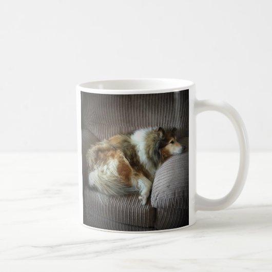 Mug Colley à poil long sur fauteuil (Droite)
