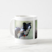 Mug Colleys de frontière (Devant gauche)