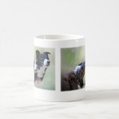 Mug Colleys de frontière (Centre)